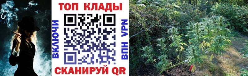 Купить наркотики Кедровый COCAIN  МЕФ  АМФЕТАМИН  Каннабис  ГАШ 