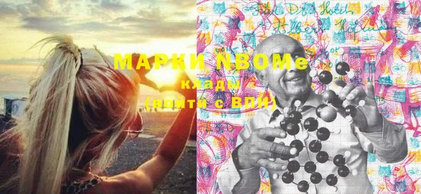 сатива Инта