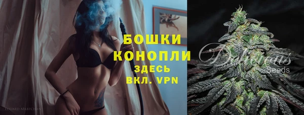 сатива Инта