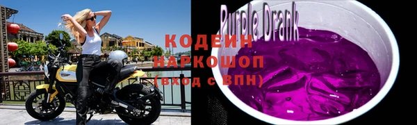 сатива Инта