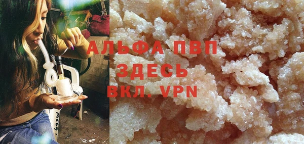 сатива Инта
