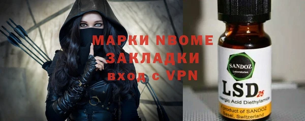 сатива Инта