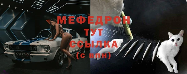 сатива Инта