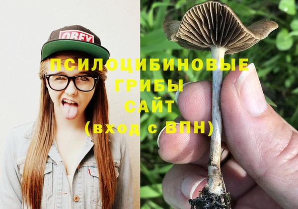 сатива Инта
