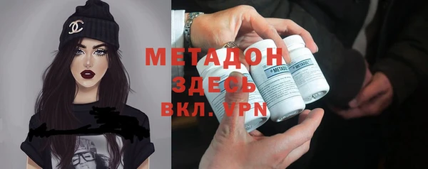 сатива Инта