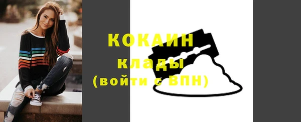 сатива Инта