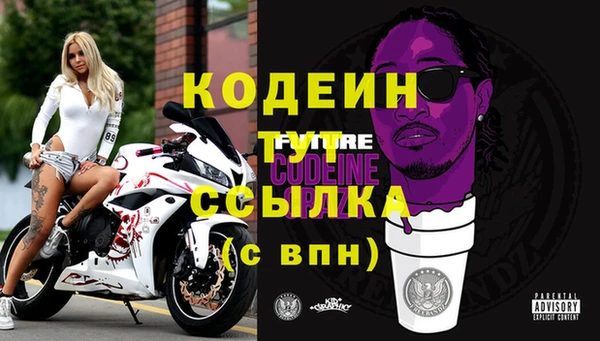 сатива Инта