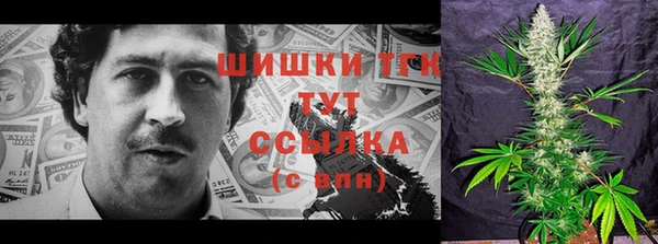 сатива Инта