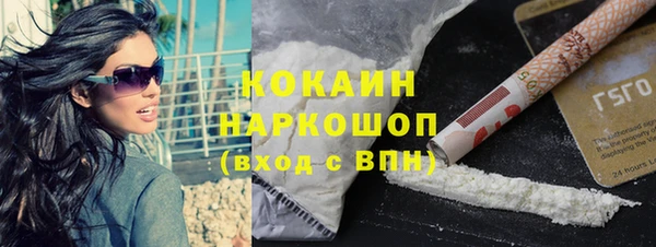 сатива Инта
