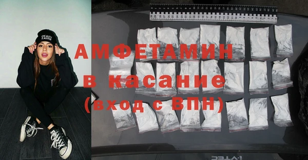 сатива Инта