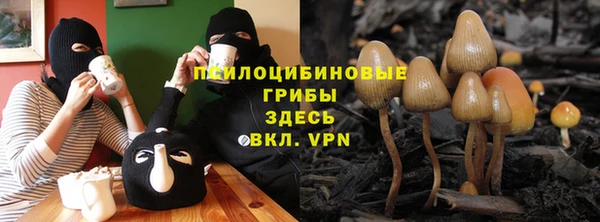 молекула духа Иннополис