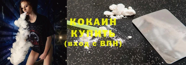 сатива Инта