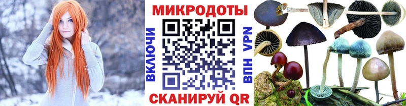Псилоцибиновые грибы мухоморы  Кедровый 
